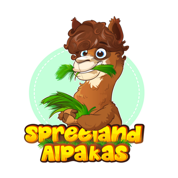 Spreeland-Alpakas
