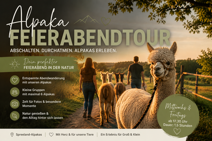 Alpaka Feierabendtour